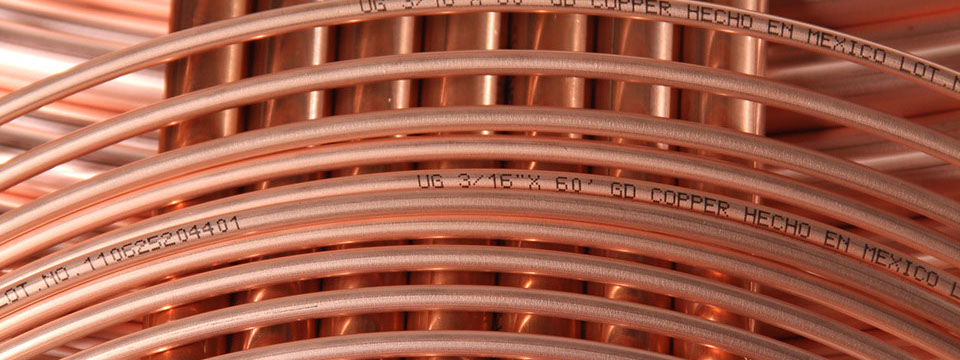 Distribución mundial